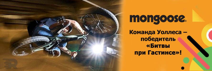 Команда Воллеса - переможець Битви при Гастінсі