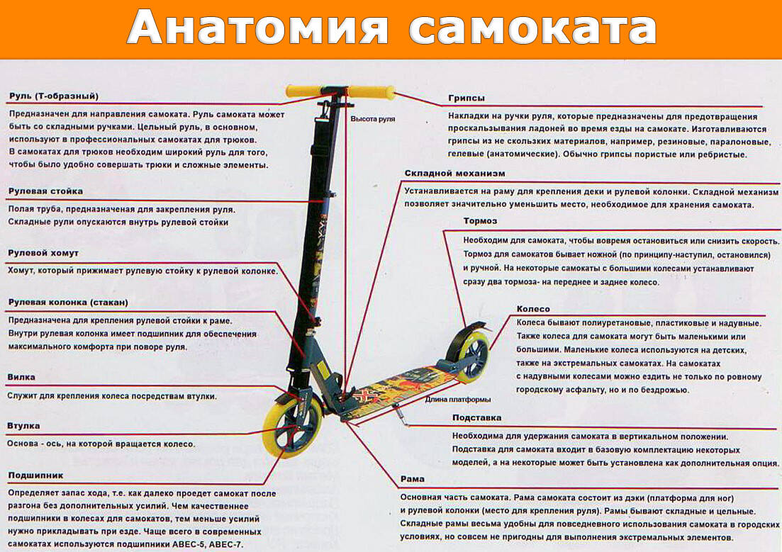 Как правильно ухаживать за самокатом