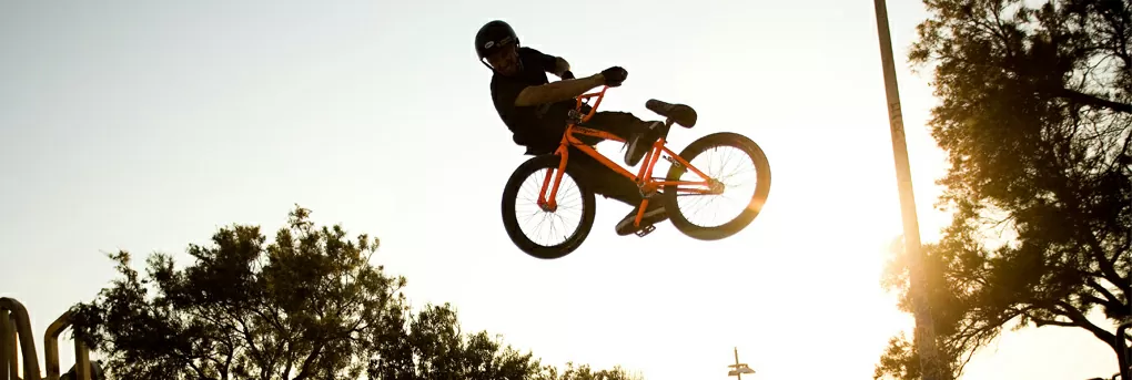 Mongoose