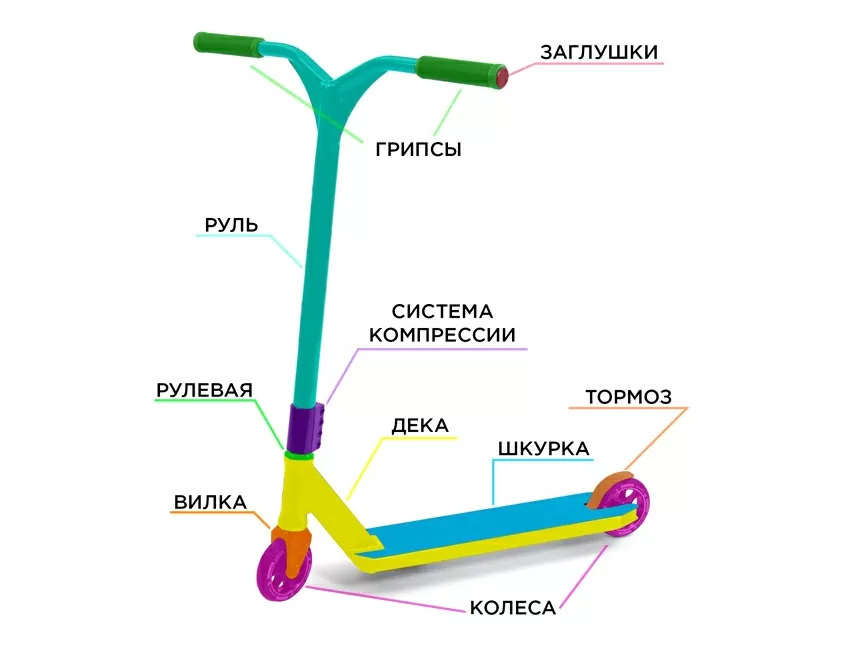 Сколько стоит самокат