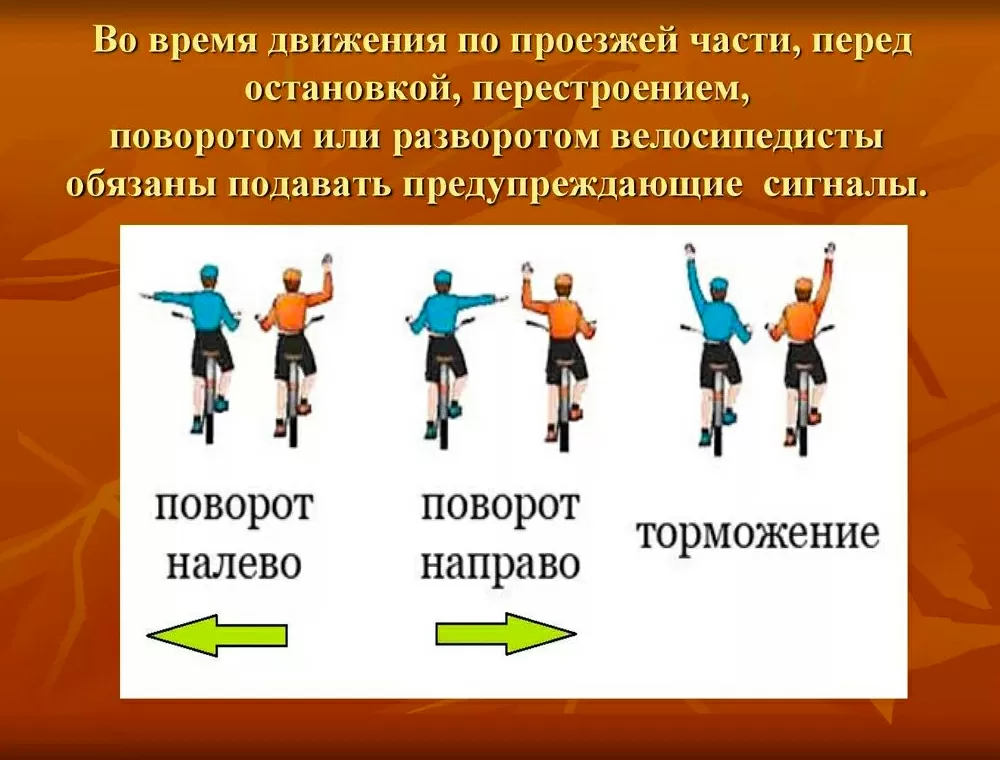 Чи є велосипед транспортним засобом