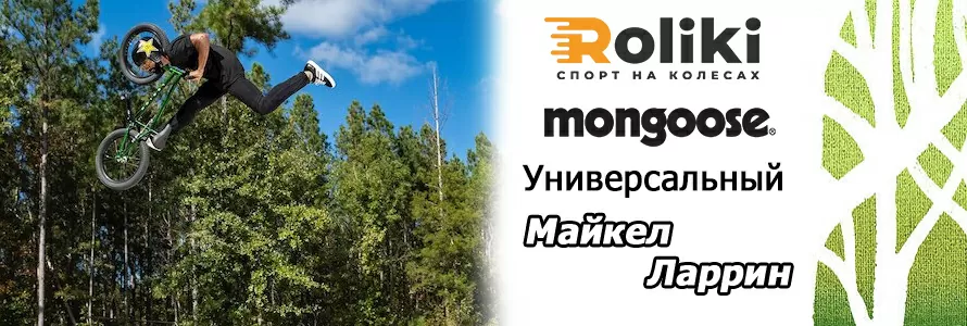 Универсальный Майкел Ларрин