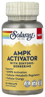 AMPK Activator With Dihydroberberine - 60 vcaps