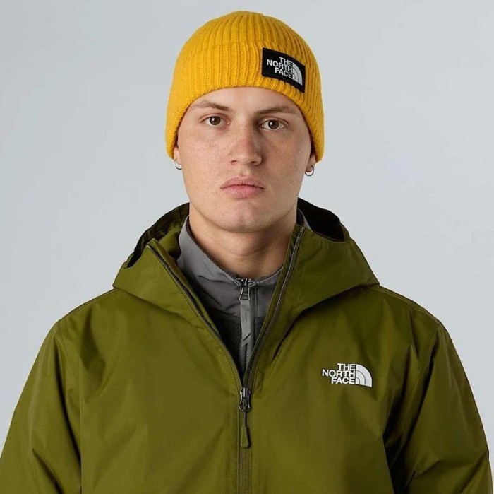 Шапка THE NORTH FACE ( NF0A8CGZ ) SALTY LINED BEANIE 2026
