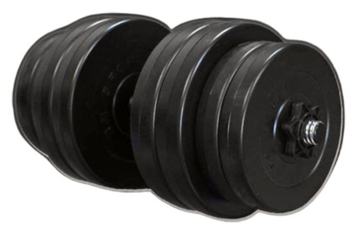 Гантель із знімними дисками RN-30 кг з покриттям ABS, укр, укр