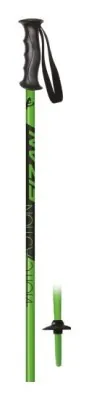 Палки горнолыжные Fizan (5341) ACTION JR green 2021
