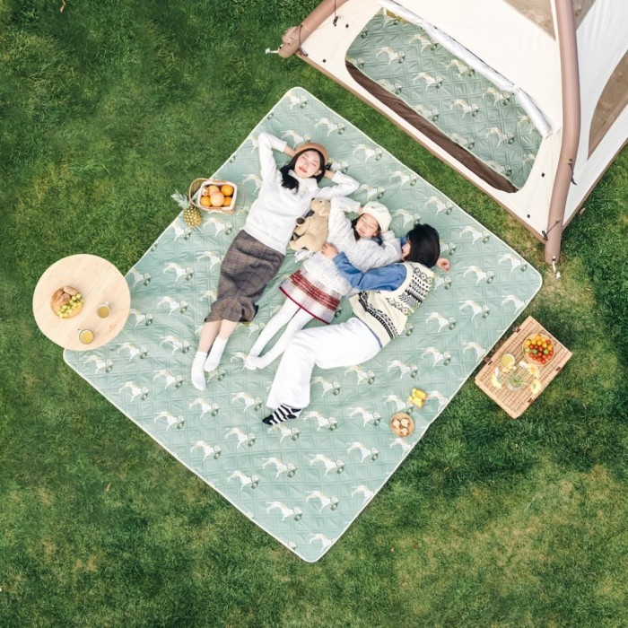 Килимок для пікніка Naturehike CNK2350WS010 210*240 см, блакитний із принтом, укр, укр