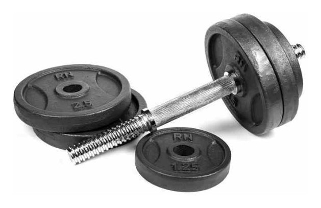 Гантелі розбірні металеві 2 по 13,5 кг RN-Sport