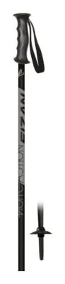 Палки горнолыжные Fizan (5340) ACTION JR black 2021