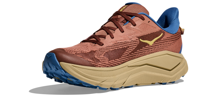 Кроссовки для бега HOKA ( 1168716 ) M CHALLENGER 8 2026