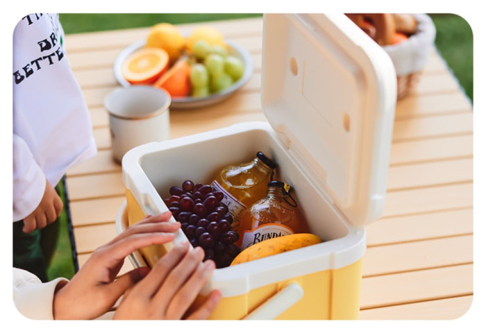 Туристичний холодильник Naturehike CNK2450CF012, 5 л, бежевий