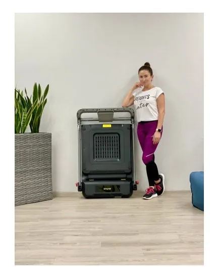 Беговая дорожка OMA Fitness WalkingPad 1815EB