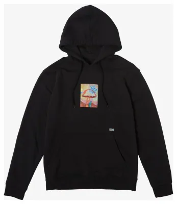 Худі RVCA ( AVYSF00294 ) SAGE HOODIE OTLR 2024