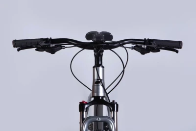 Велосипед AL 29" Formula ZEPHYR 3.0 DD CS рама-19" серебристый 2026