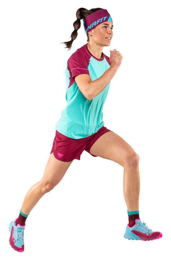 Шкарпетки Dynafit Transalper Socks