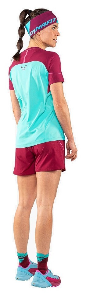 Шкарпетки Dynafit Transalper Socks