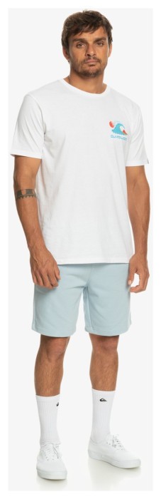 Шорти Quiksilver ( EQYFB03312 ) ESSENTIALS M OTLR 2023