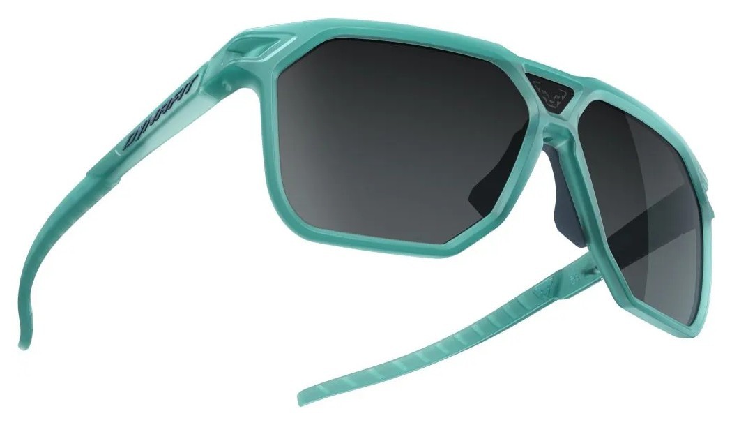 Окуляри Dynafit Traverse Sunglasses, укр, укр