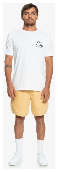 Шорти Quiksilver ( EQYWS03829 ) SCALLOP M WKST 2023