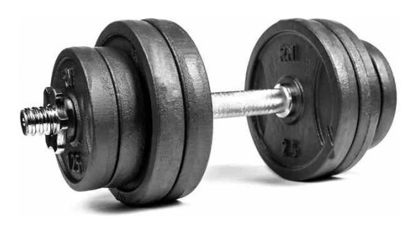 Гантель розбірний RN-Sport 16 кг (RN_QTR16), укр, укр