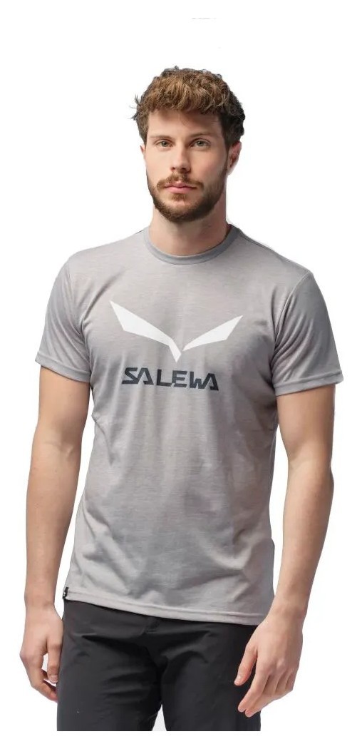 Футболка Salewa Solidlogo Dri-Release