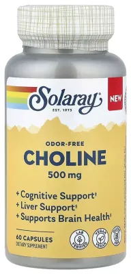 Choline 500mg - 60 caps