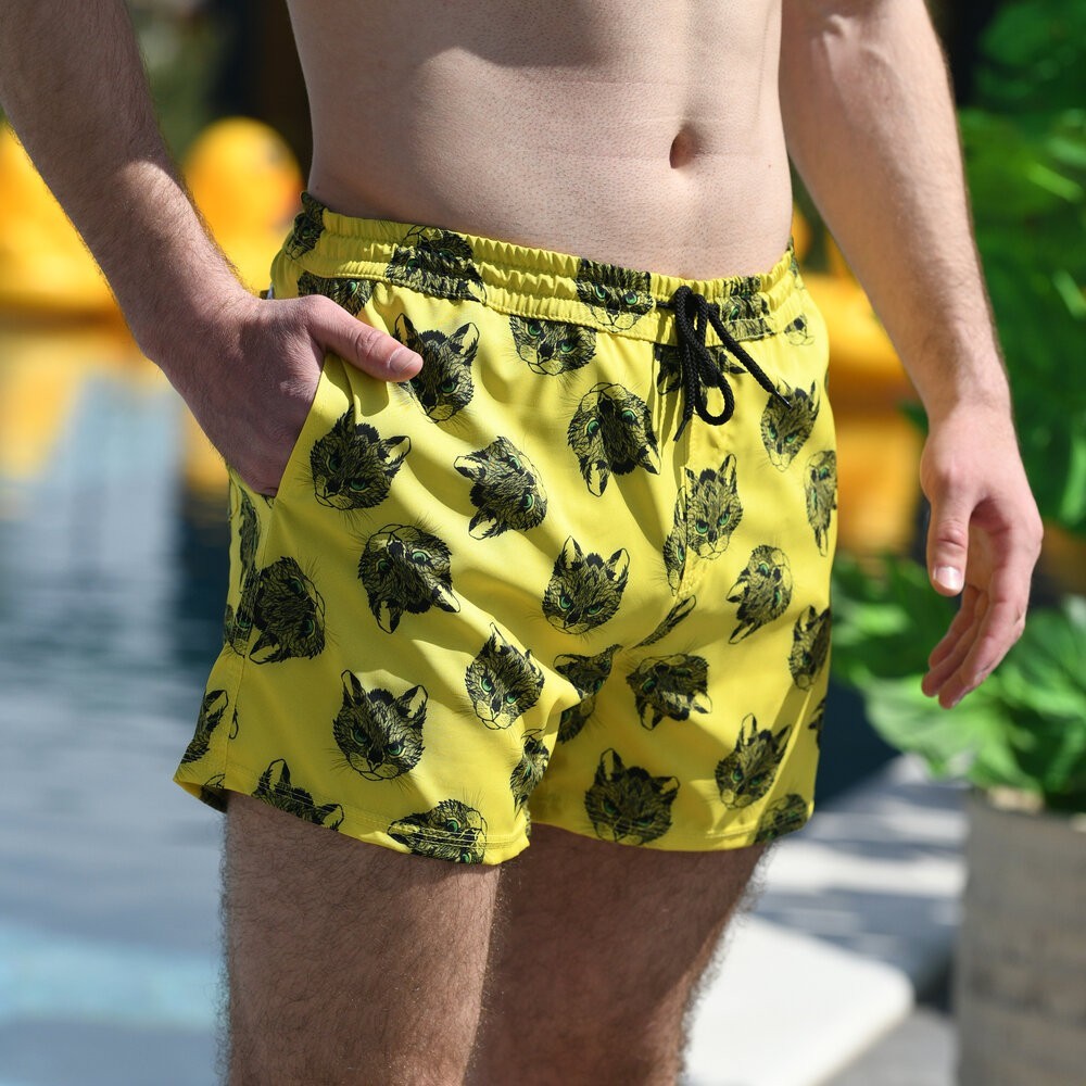 Плавательные шорты мужские Pobedov Pool day Kotiki