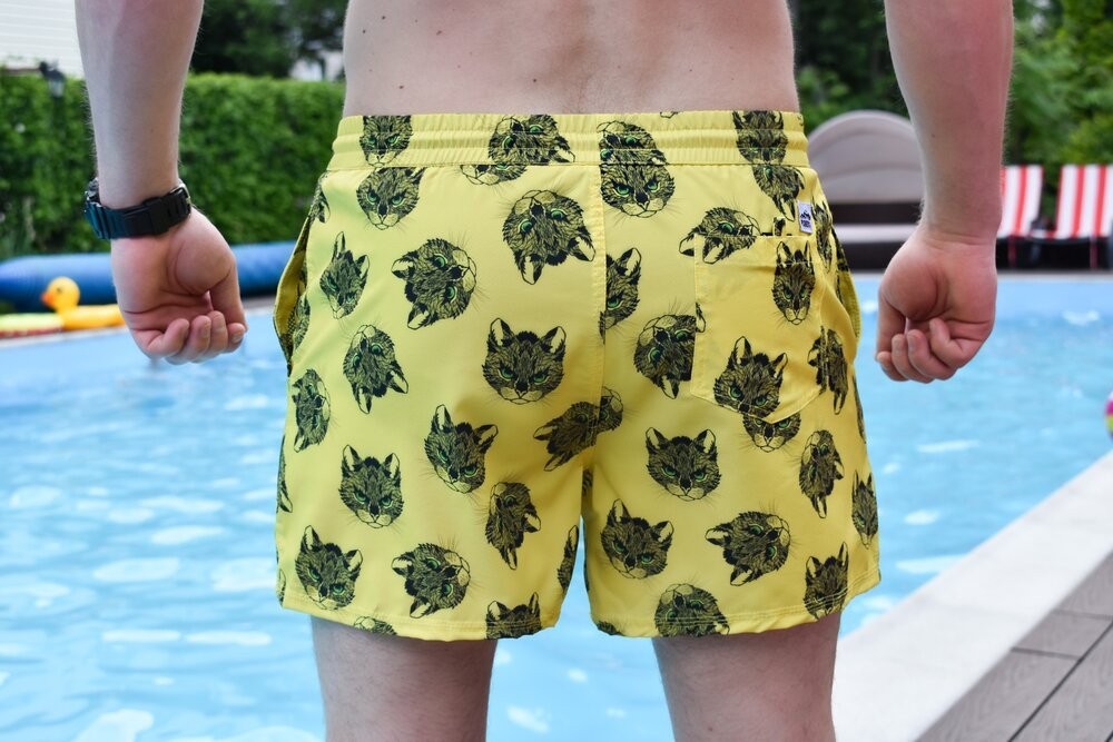 Плавательные шорты мужские Pobedov Pool day Kotiki