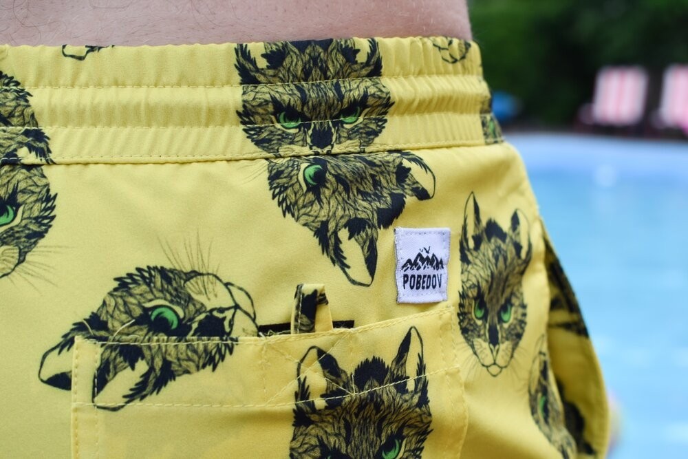 Плавательные шорты мужские Pobedov Pool day Kotiki