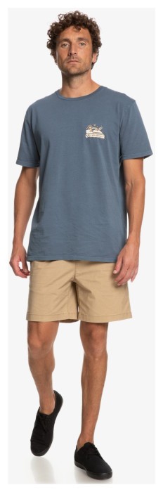 Футболка Quiksilver ( EQYZT07259 ) ENJOYNOTDESTROY M TEES 2023