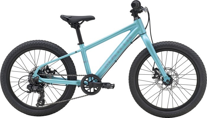 Велосипед 20" Marin BAYVIEW TRAIL 2026 Black Gold