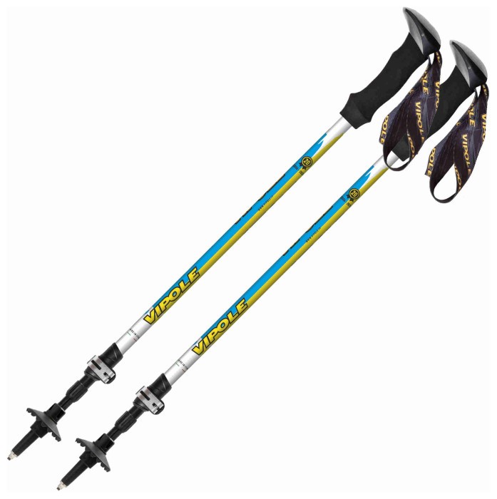 Палки трекинговые Vipole Russian Spirit Special Edition 20th AS QL DLX (P26 557)