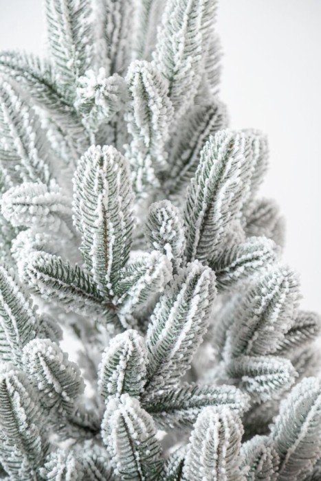 Лапландская елка в горшке, заснеженная