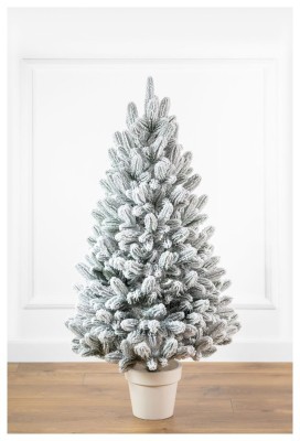 Лапландская елка в горшке, заснеженная