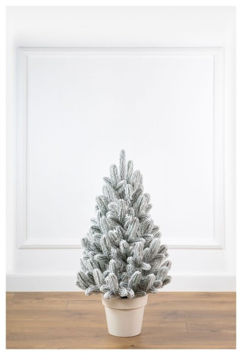 Лапландская елка в горшке, заснеженная