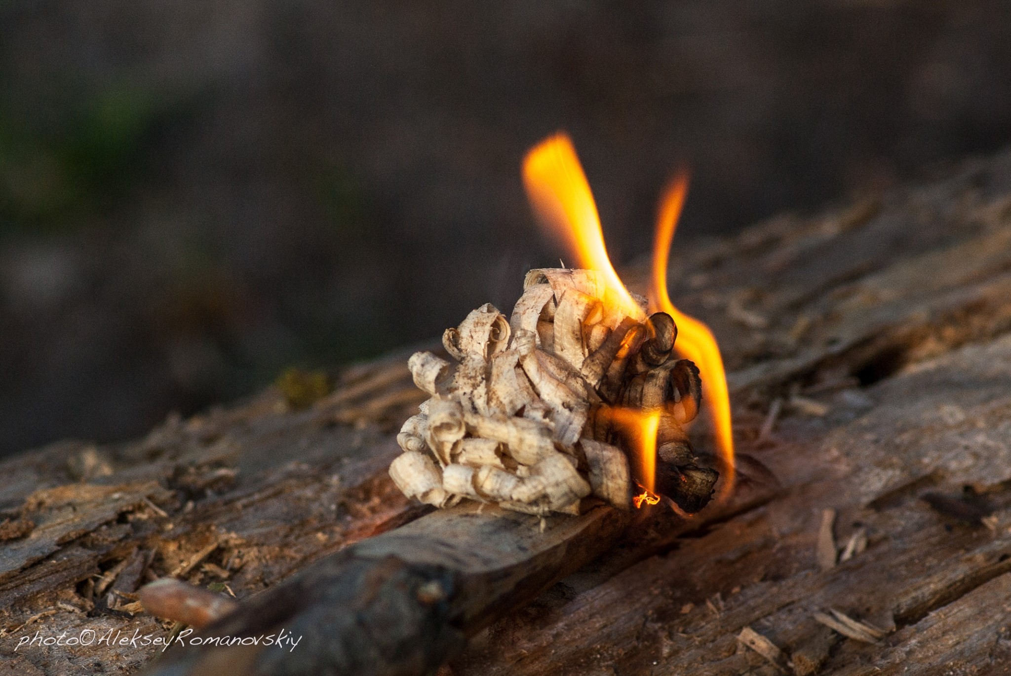 Нож Ganzo G8012-BK черный (G8012-BK)