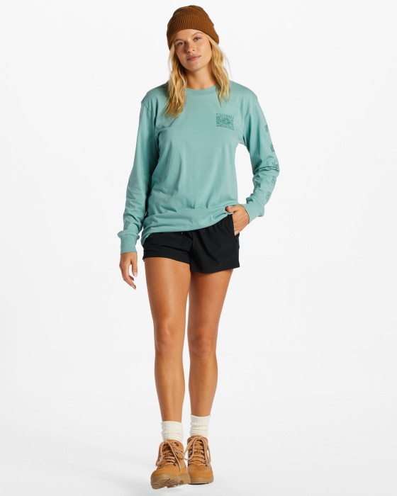 Лонгслив Billabong ( ABJZT01212 ) A/DIV LS TEE 2024