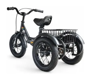 Дитячий прогулянковий триколісний велосипед MR SS01-12