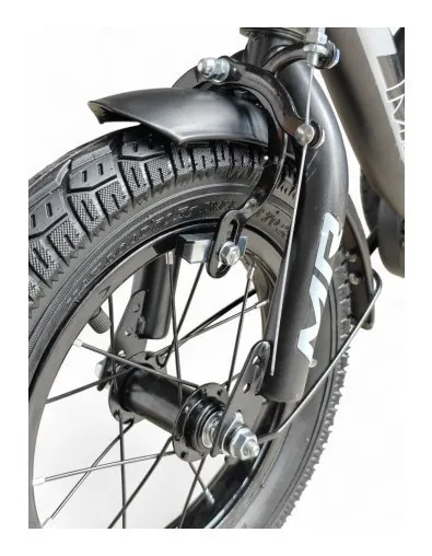 Дитячий прогулянковий триколісний велосипед MR SS01-12