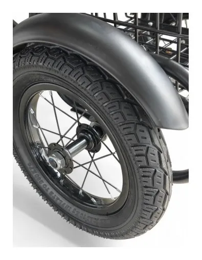 Дитячий прогулянковий триколісний велосипед MR SS01-12
