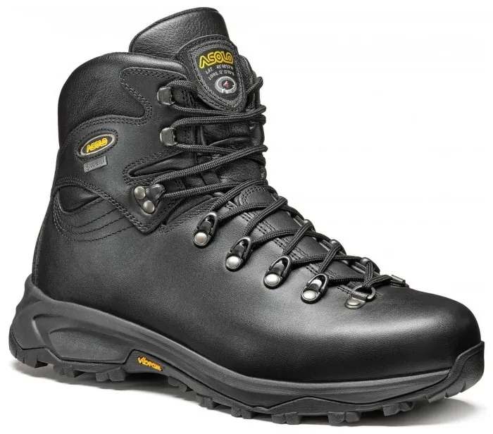 Ботинки мужские Asolo 520 Winter GV MM, Black, 43 2/3