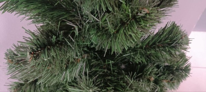 Елка Лесная в горшке, зеленая