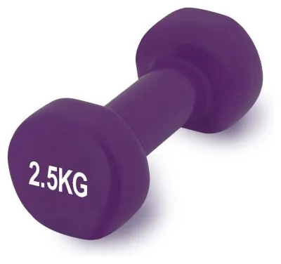 Гантель виниловый PowerPlay 4125 Achilles 2.5 кг. Фиолетовая (1шт.)