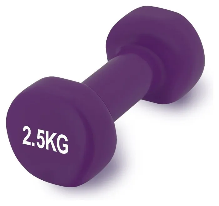 Гантель виниловый PowerPlay 4125 Achilles 2.5 кг. Фиолетовая (1шт.)