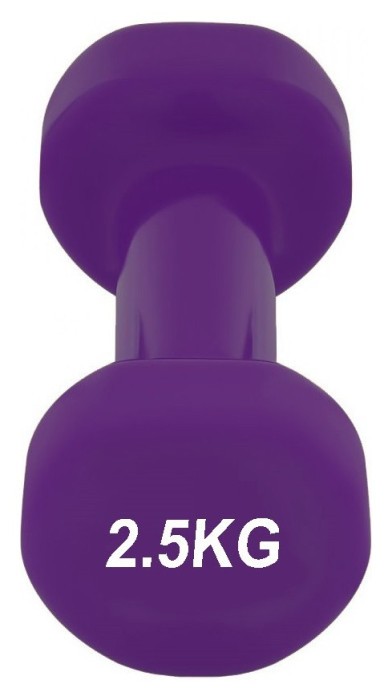 Гантель виниловый PowerPlay 4125 Achilles 2.5 кг. Фиолетовая (1шт.)