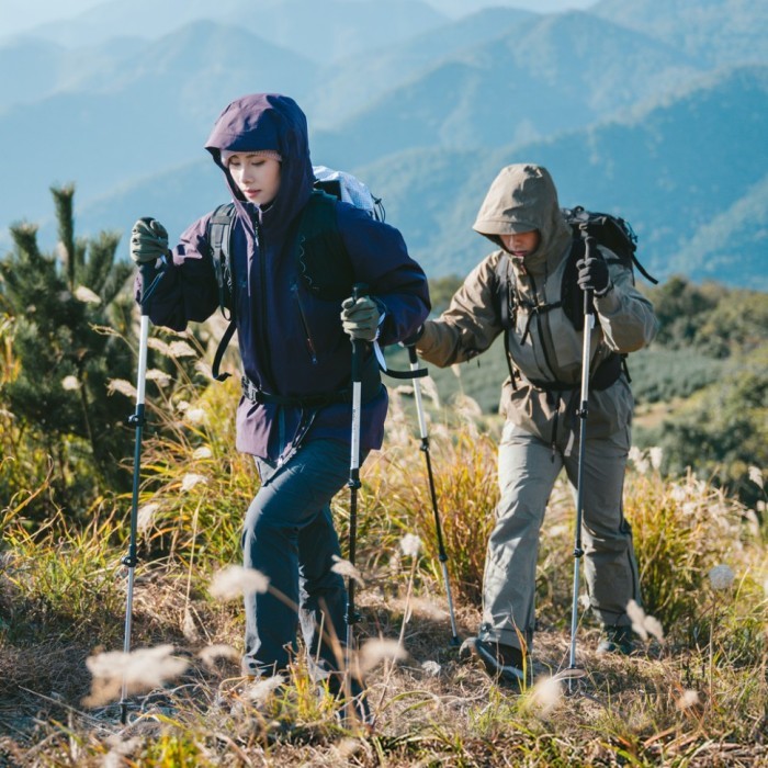 Трекинговая палка 3-секционная Naturehike ST06 NH17D006-D, 66-135 см, белая