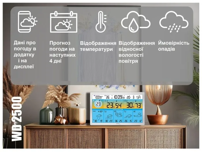 Метеостанция Technoline DirektWetter WD2500 Silver (WD2500)