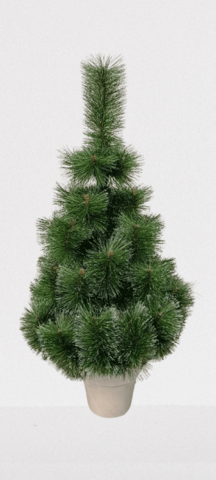 Сосна Микс в горшке заснежена