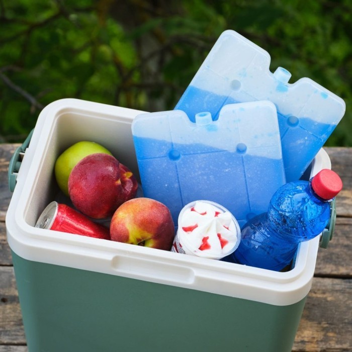 Набор из 2 шт аккумуляторов гелевых холодов Quest 18,5*16,5*2 см, 400 мл