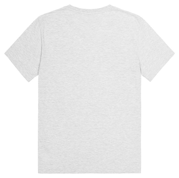 Футболка Picture Organic  Jecko grey melange